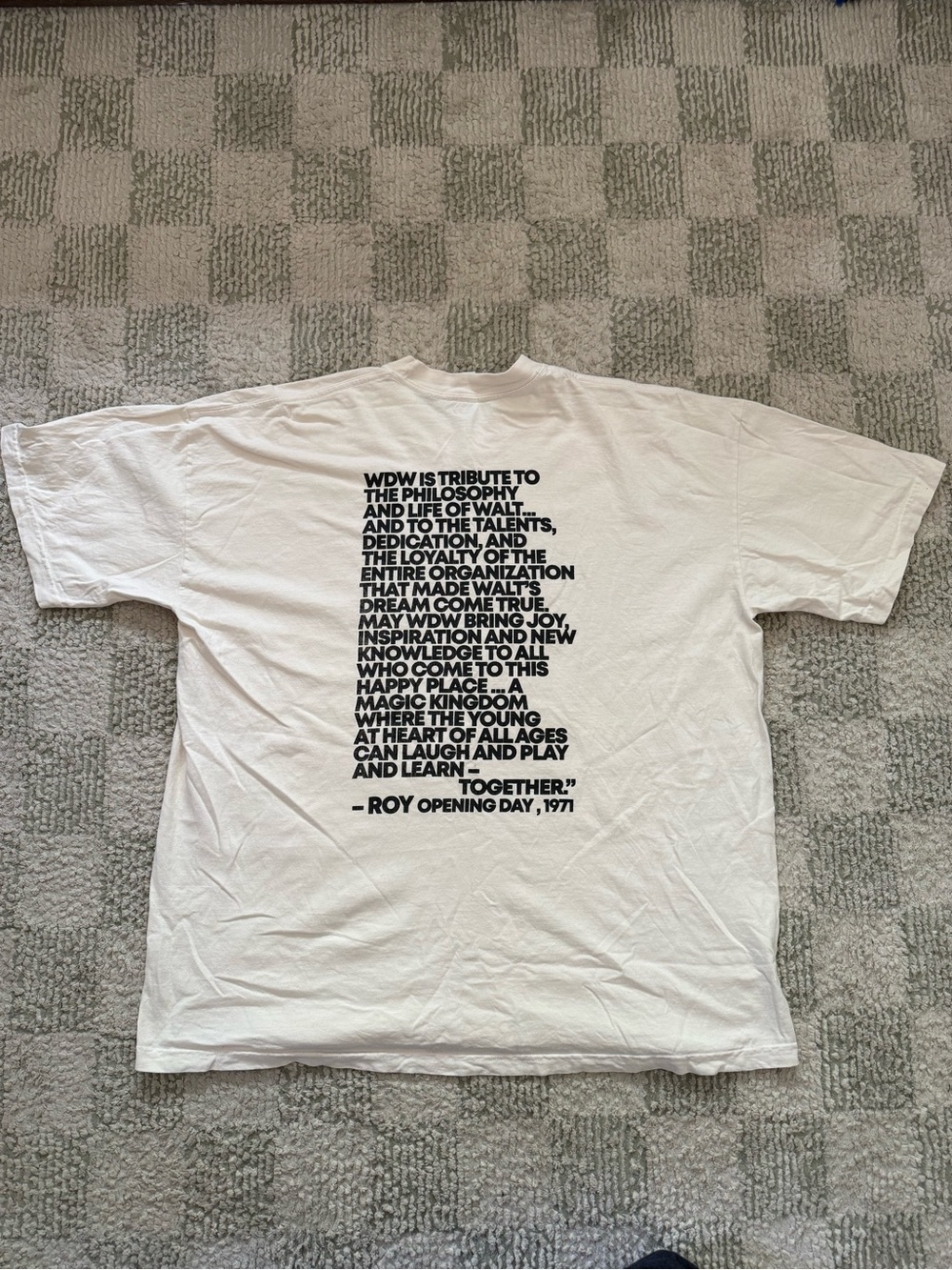 Fantasy Feelings Orlando Disney Souvenir Graphic Tee in Cream - Picture 2 of 2